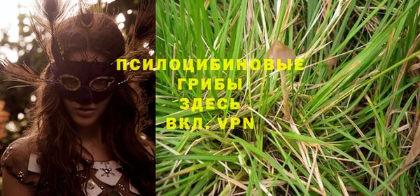 прущая мука Остров